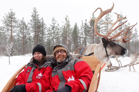 روفانيمي: رحلة على زلاجة الرنة عبر الغابة