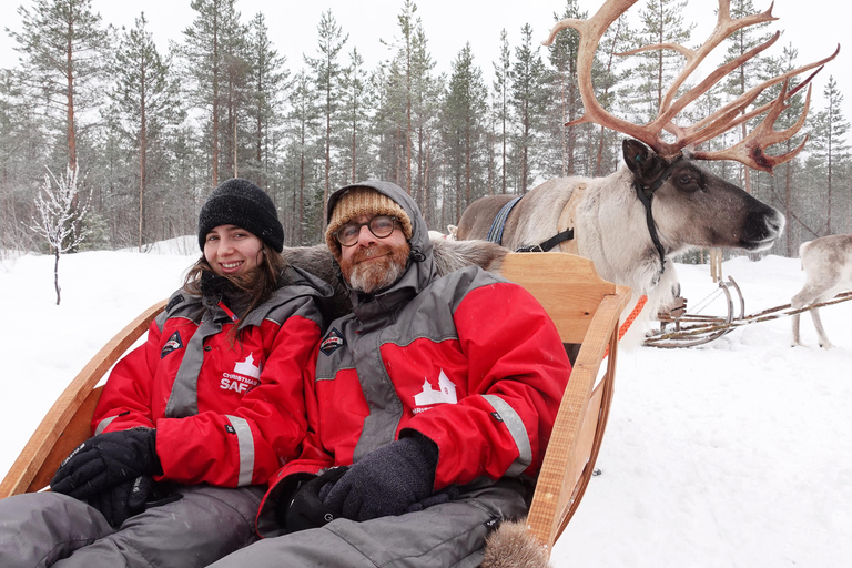 روفانيمي: رحلة على زلاجة الرنة عبر الغابة
