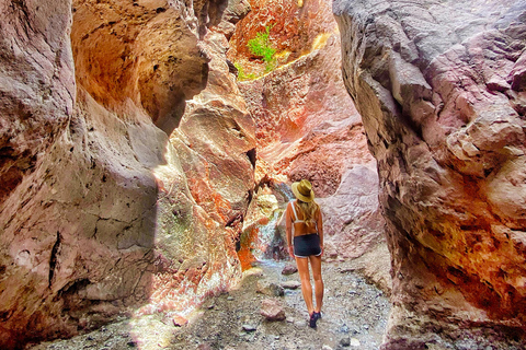 Las Vegas: Arizona Hot Springs Guided Hike with Snacks