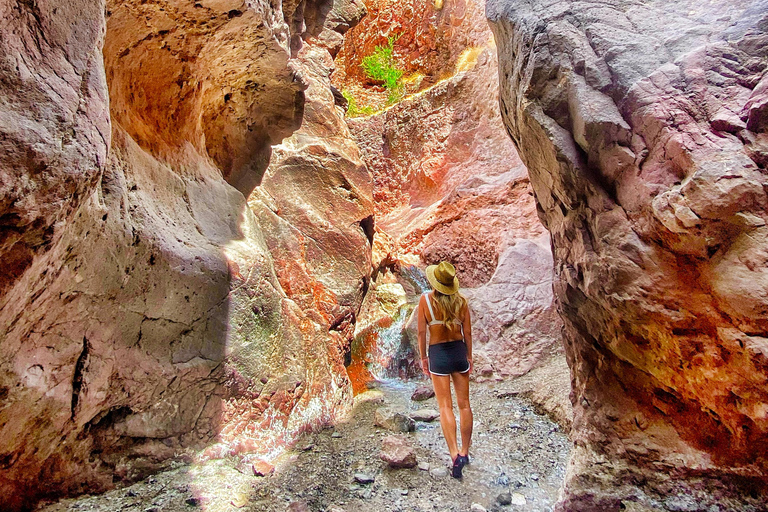 Las Vegas: Arizona Hot Springs Guided Hike with Snacks
