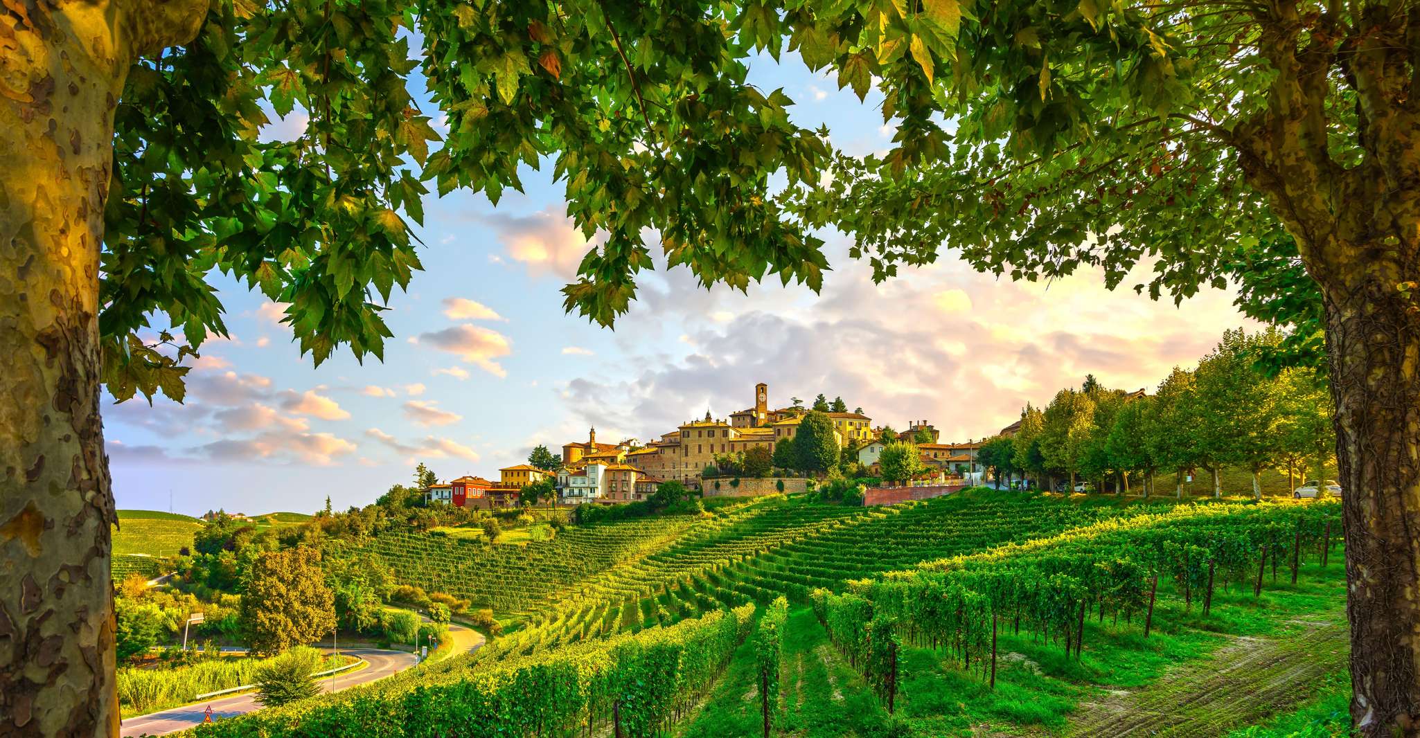 Barolo cave à vin Dégustation, ville d'Alba et château de l'Unesco - Hizvo