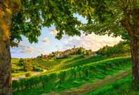 Barolo cave à vin Dégustation, ville d'Alba et château de l'Unesco - Hizvo