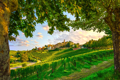 Desde Milán: Cata de Vinos de Barolo, Excursión a Alba y Visita al Castillo