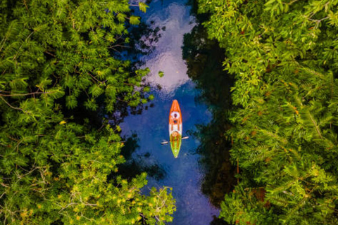 ZANZIBAR:Ferme d'épices et excursion en kayak dans la forêt de mangroves