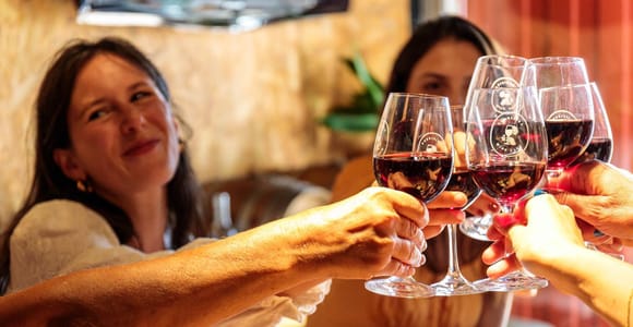 Lisbon vineyard: Portuguese Wine Journey, 6 Wines and Bites