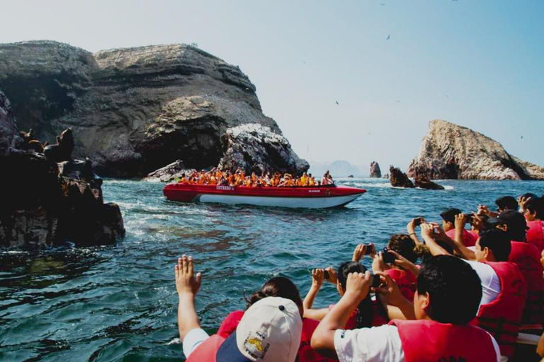 Från Lima: Paracas-Huacachina och Nazca-linjerna 2 dagar/1 natt