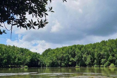 Tour di un giorno della Foresta delle Mangrovie e dell&#039;Isola delle Scimmie di Can Gio