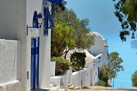 From Hammamet: Carthage, Sidi Bou Said, & Tunis Day Trip