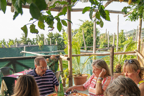 Sorrento: Lemons grove, Farm Tour&Tasting and Pizza Class Sorrento Coast: Enogastronomic Tour with Show & Tasting