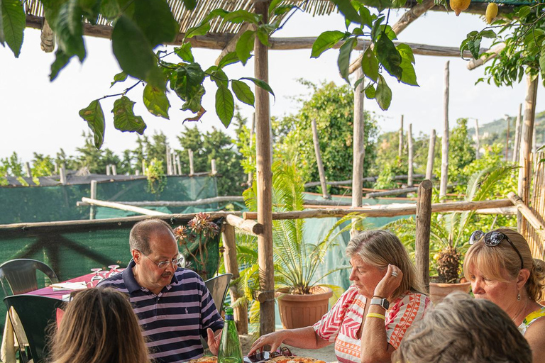 Sorrento: Lemons grove, Farm Tour&Tasting and Pizza Class Sorrento Coast: Enogastronomic Tour with Show & Tasting
