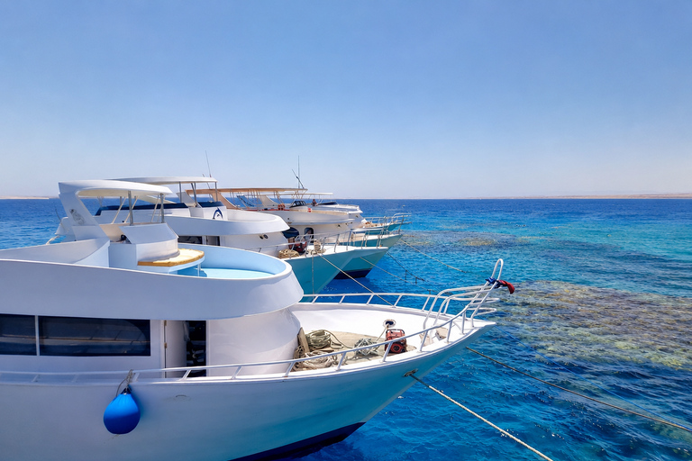 Marsa Alam: Samadai Dolphin House Snorkeling or Diving Marsa Alam: Samadai Dolphin House Snorkeling