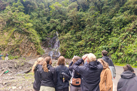 From Cusco: Manu National Park 4-Day Wildlife Expedition