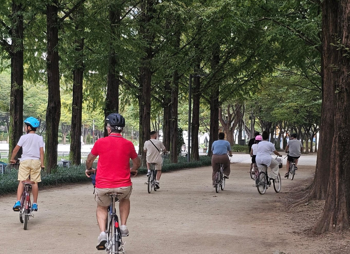 Seoul: Cykeltur i den urbane natur langs Han-floden