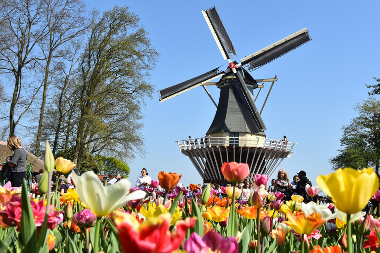 Brussels: Holland Keukenhof & Kinderdijk Guided Day Tour Tour in English