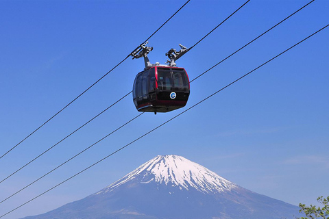 Stunning Views of Mt. Fuji & Hakone Day Trip From Tokyo