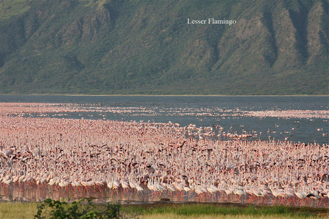 Private Day Tour to Lake Baringo from Nairobi