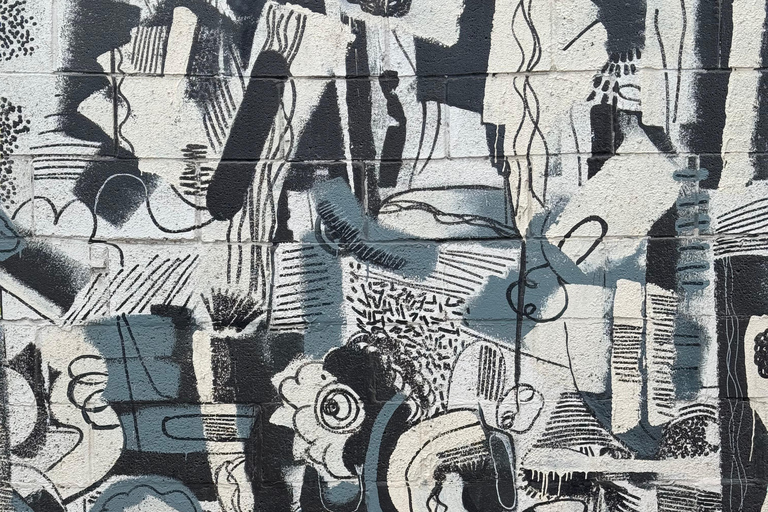 Toronto: Street Art and Graffiti Tour Run by Street Artist