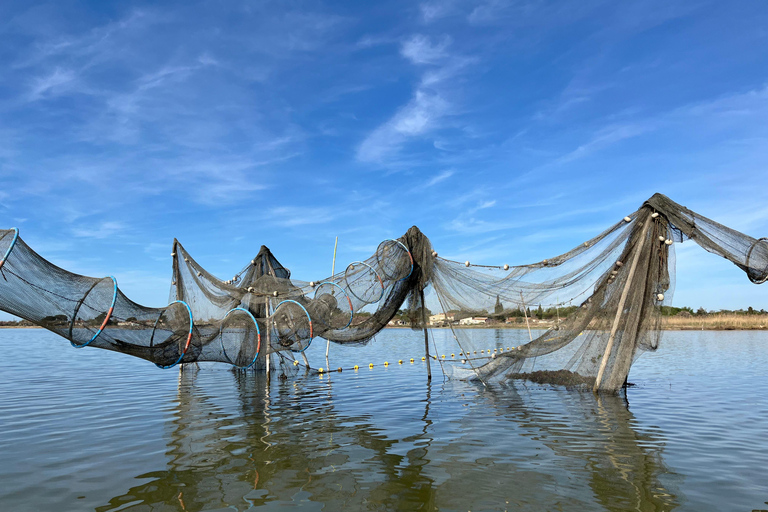 Montpellier : Birdwatching by kayak in Camargue