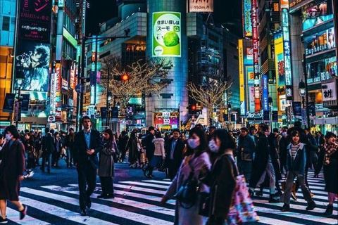 Visite privée personnalisable de Tokyo en voiture et en van