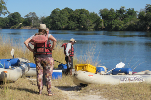 Victoria Falls: Canoeing - Upper Zambezi (Day Trail)