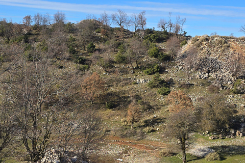 Hike Mount Shpirag and Enjoy Stunning Berat Views