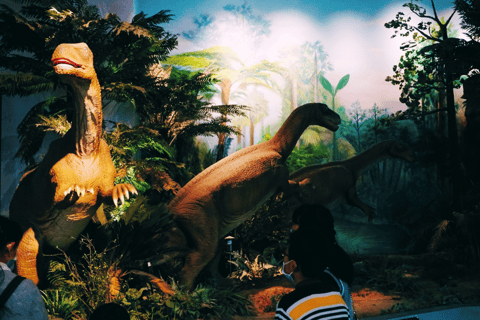 Kunming: Yunnan Provincial Museum Entry Reservation