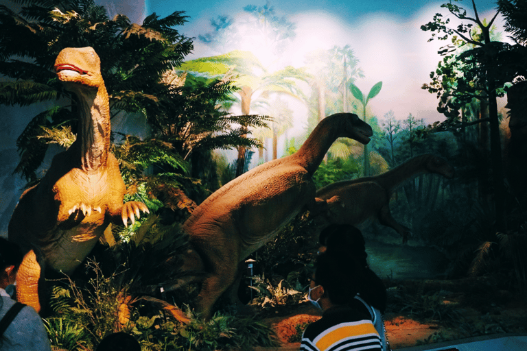 Kunming: Yunnan Provincial Museum Entry Reservation