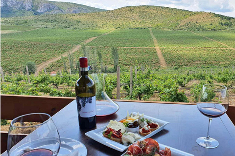 From Skopje: Lazar & Chateau Sopot Wineries Visit & Tastings