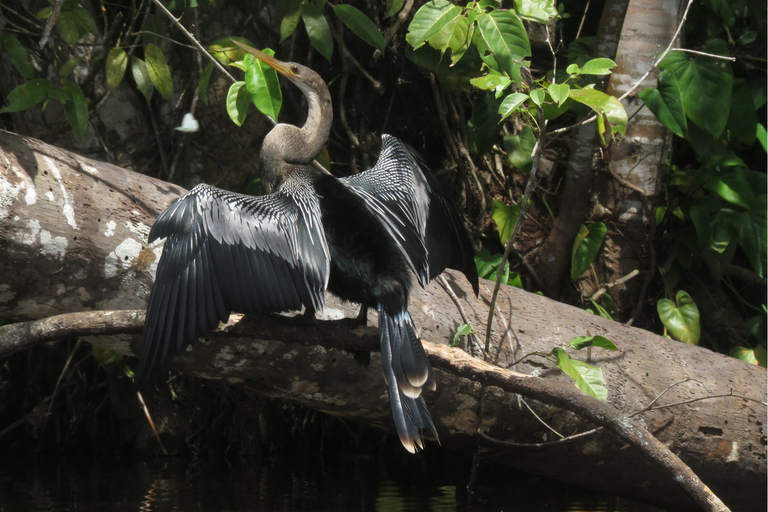 Tambopata: Wildlife Tour with Anacondas and Macaws