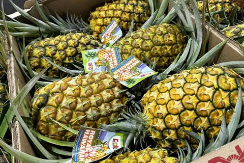 Oahu: North Shore Dole Ananasboerderij Tour