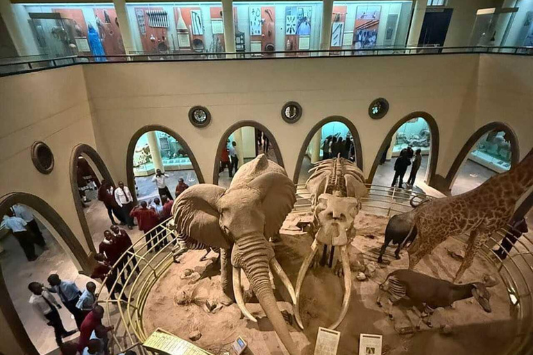 Nairobi: National Museum and Snake Park Guided Tour