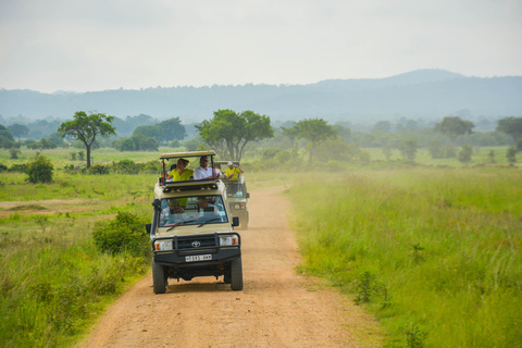 Tanzanie : Safari de 2 jours à Tarangire et au cratère du Ngorongoro