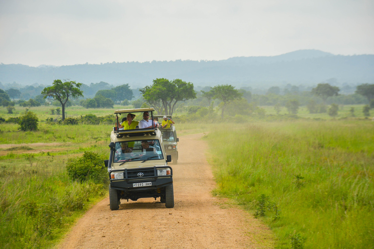 Tanzania: 2-dagars safari till Tarangire och Ngorongoro-kratern