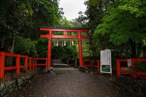 Kyoto - en privat Privat dagsutflykt med världsarvsanpassningPrivat tur på engelska (Centrala Kyoto)