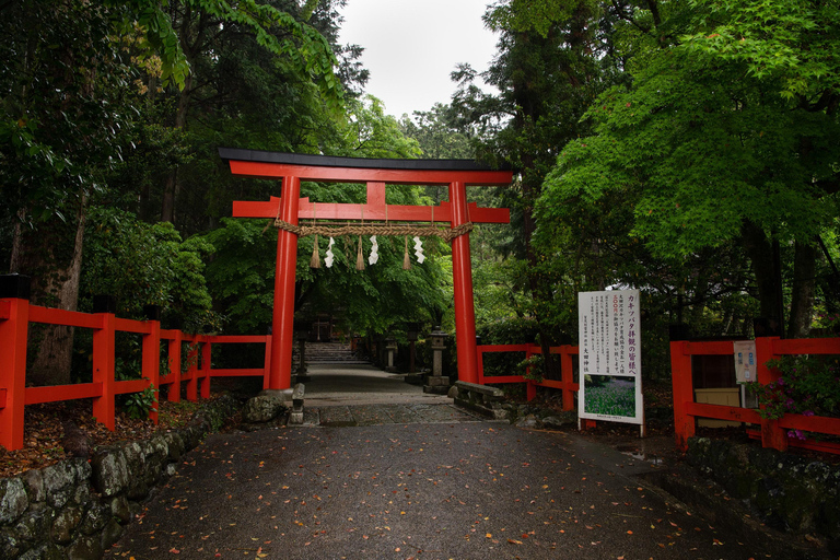 Kyoto: Tour personalizzabile di 4 ore dei siti patrimonio dell&#039;umanitàTour privato in inglese (Kyoto centrale)