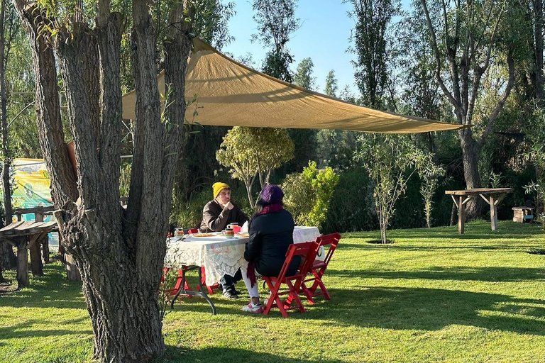 CLASE DE COCINA Xochimilco: tortillas hechas a mano, sopes y más