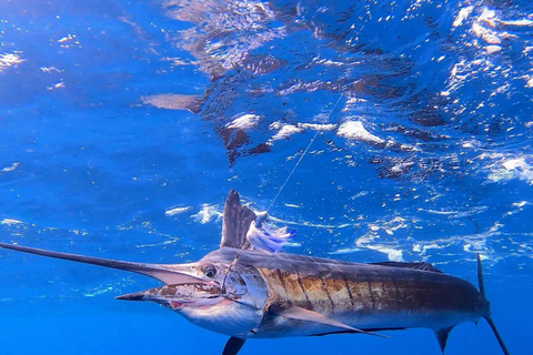 EXPERIÊNCIA DE PESCA EM ZANZIBAR