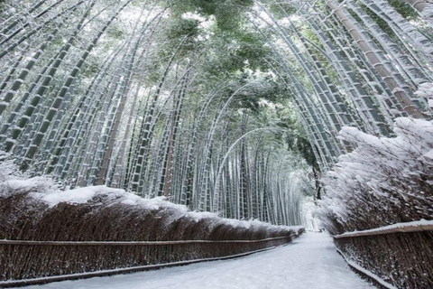 Kyoto Full-Day Private Customizable Tour with English Guide Kyoto: Private Full-Day Tour with Guide