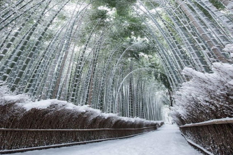Kyoto Full-Day Private Customizable Tour with English Guide Kyoto: Private Full-Day Tour with Guide