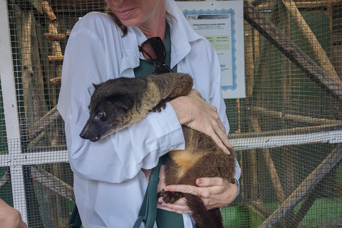 Bandung Countryside Tour: Waterfall, Rice Fields &amp; Culture