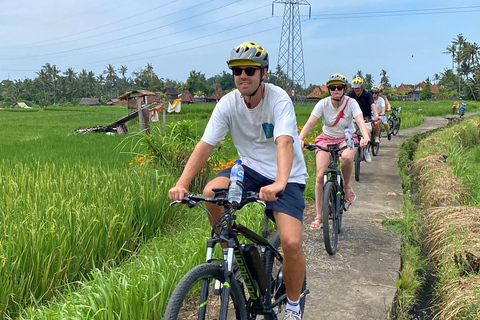 Ubud: Downhill-cykeltur med risfält, vulkan och måltidPrivat grupp