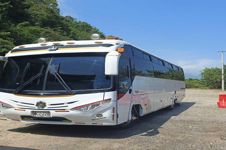 Santa Marta: Palomino Day Trip with Breakfast & Lunch