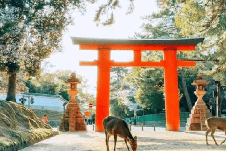Nara: Private Full-Day Tour with Licensed Guide