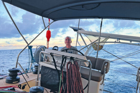 Private: Exclusive Saona Island VIP Speedboat Excursion