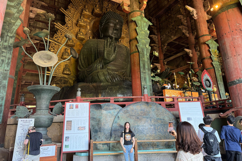 Nara : Visite guidée à pied avec le Grand Bouddha et les daims(5h)