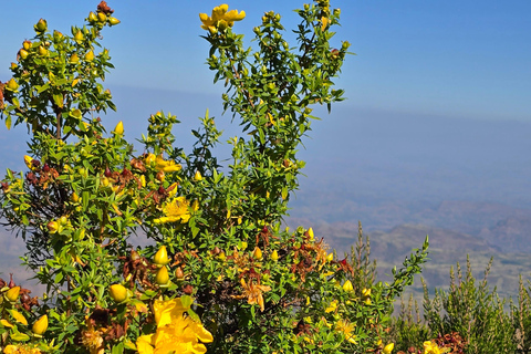 Äthiopien: 29-tägige Tour durch den Norden, Osten und Süden