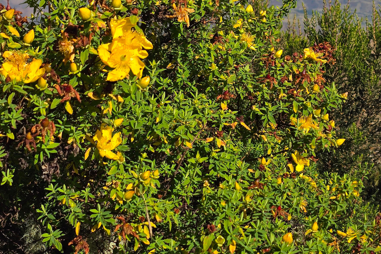 Äthiopien: 29-tägige Tour durch den Norden, Osten und Süden