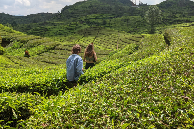 Bandung: White Crater, Scenic Tea Plantations & Hot Spring Open Tour: White Crater & Surroundings areas. with Tickets