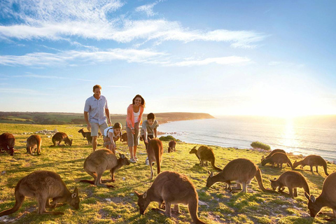 【Adelaide】6 Days Kangaroo Island Sights and Adelaide Package