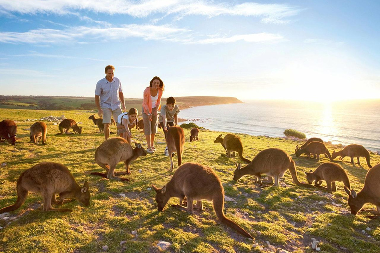 【Adelaide】6 Days Kangaroo Island Sights and Adelaide Package